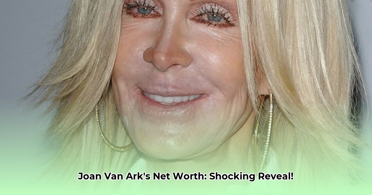 joan-van-ark-net-worth